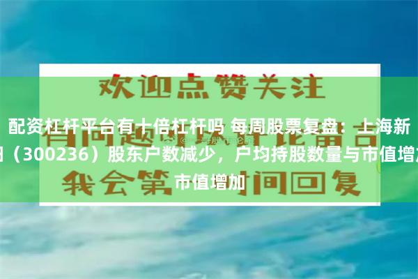 配资杠杆平台有十倍杠杆吗 每周股票复盘：上海新阳（300236）股东户数减少，户均持股数量与市值增加