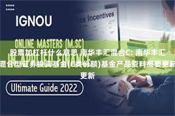 股票加杠杆什么意思 南华丰汇混合C: 南华丰汇混合型证券投资基金(C类份额)基金产品资料概要更新