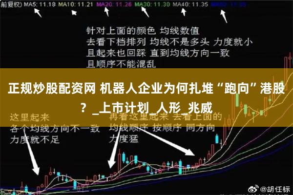 正规炒股配资网 机器人企业为何扎堆“跑向”港股？_上市计划_人形_兆威