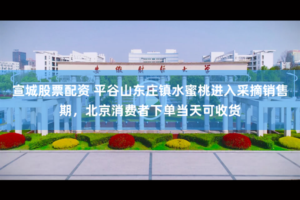 宣城股票配资 平谷山东庄镇水蜜桃进入采摘销售期，北京消费者下单当天可收货