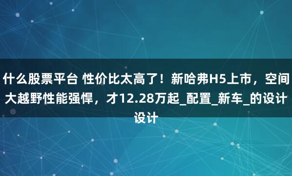 什么股票平台 性价比太高了！新哈弗H5上市，空间大越野性能强悍，才12.28万起_配置_新车_的设计