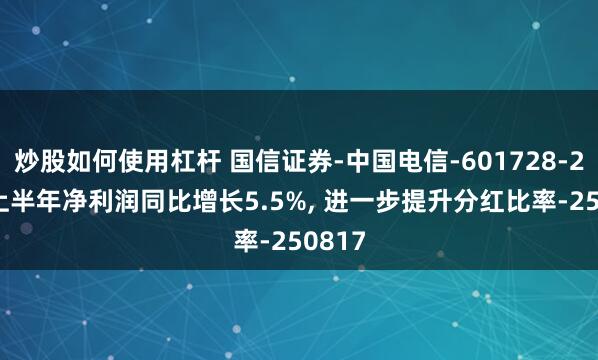 炒股如何使用杠杆 国信证券-中国电信-601728-2025上半年净利润同比增长5.5%, 进一步提升分红比率-250817