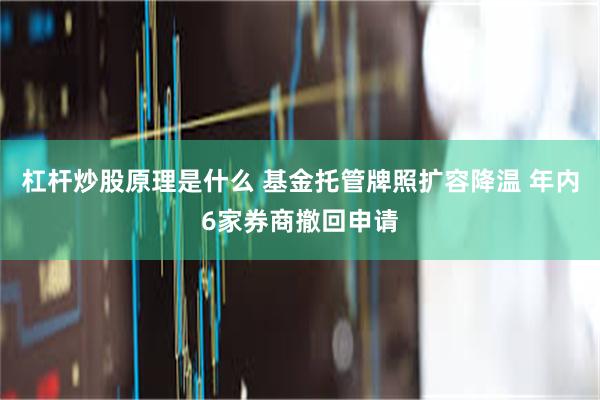 杠杆炒股原理是什么 基金托管牌照扩容降温 年内6家券商撤回申请
