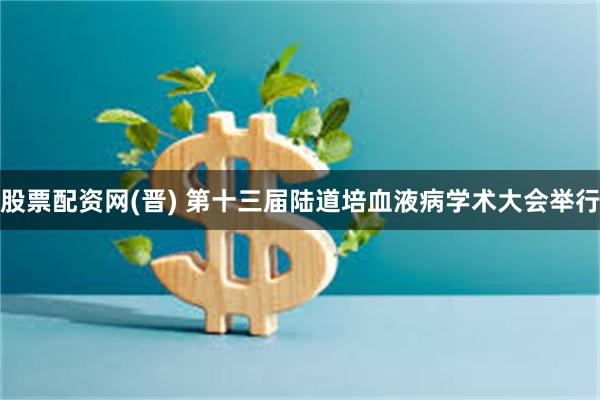 股票配资网(晋) 第十三届陆道培血液病学术大会举行