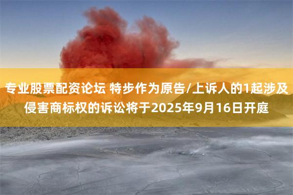 专业股票配资论坛 特步作为原告/上诉人的1起涉及侵害商标权的诉讼将于2025年9月16日开庭